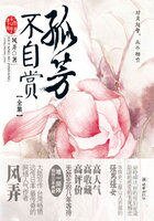 孤芳不自賞(鍾漢良、Angelababy主演)