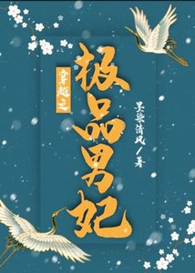 穿越之極品男妃