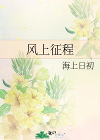 風上征程
